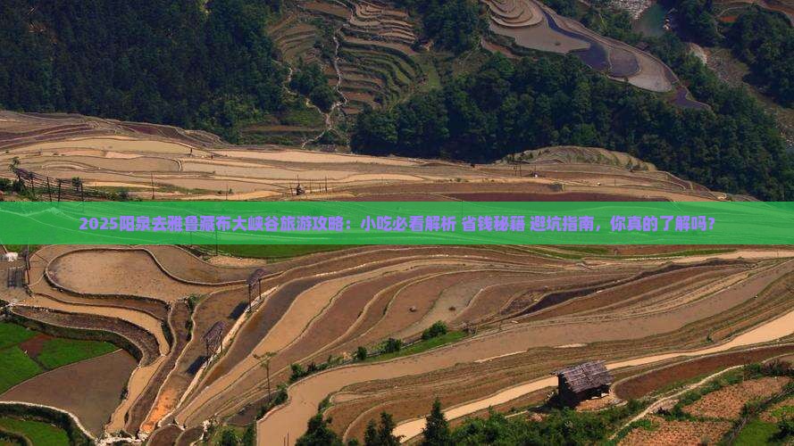 阳泉去西藏雅鲁藏布大峡谷旅游小吃