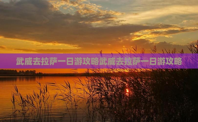 武威去西藏拉萨一日