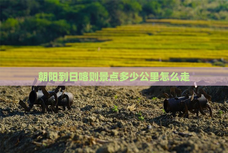 朝阳到西藏日喀则景点