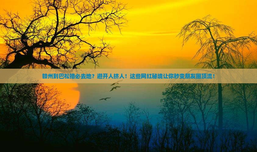 赣州到西藏巴松措必去地