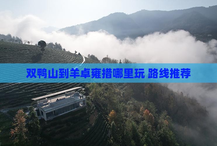 双鸭山到西藏羊卓雍措哪里玩