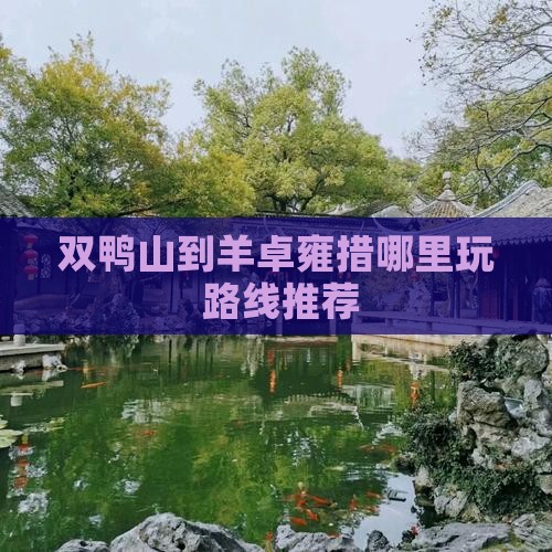 双鸭山到西藏羊卓雍措哪里玩