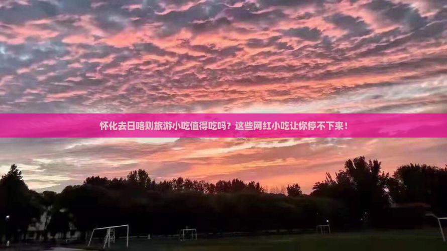 怀化去西藏日喀则旅游小吃