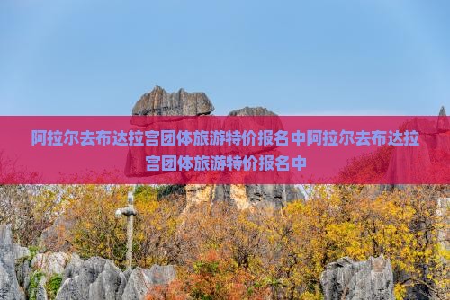 阿拉尔去西藏布达拉宫团体旅游