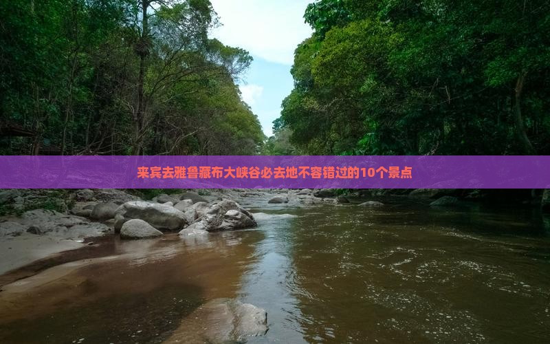 来宾去西藏雅鲁藏布大峡谷必去地