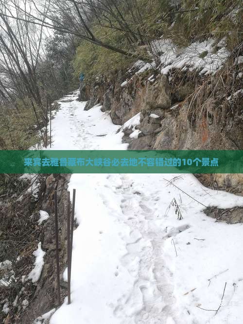 来宾去西藏雅鲁藏布大峡谷必去地