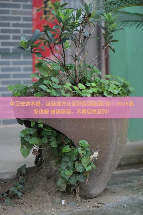 中卫去西藏纳木措必去地