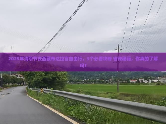 清明节到西藏布达拉宫自由行