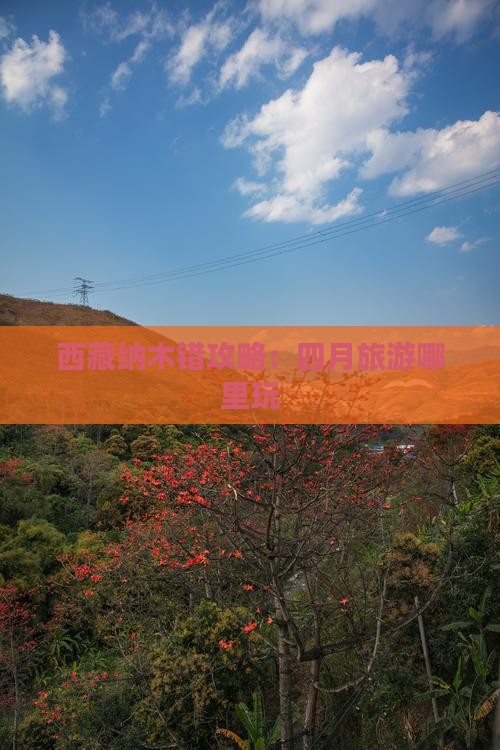 四月到西藏纳木措哪里玩