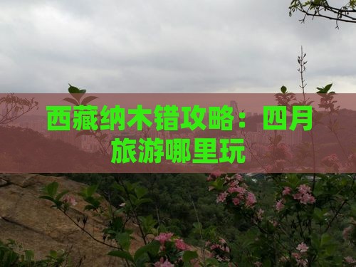 四月到西藏纳木措哪里玩