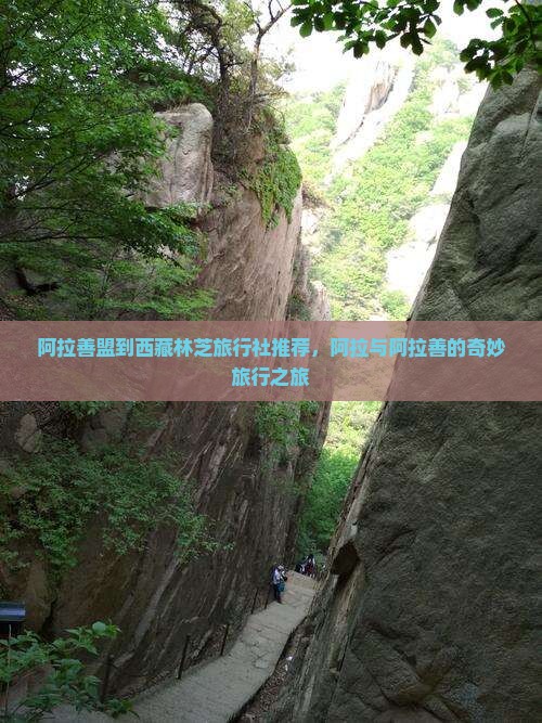 阿拉善盟到西藏林芝旅行社
