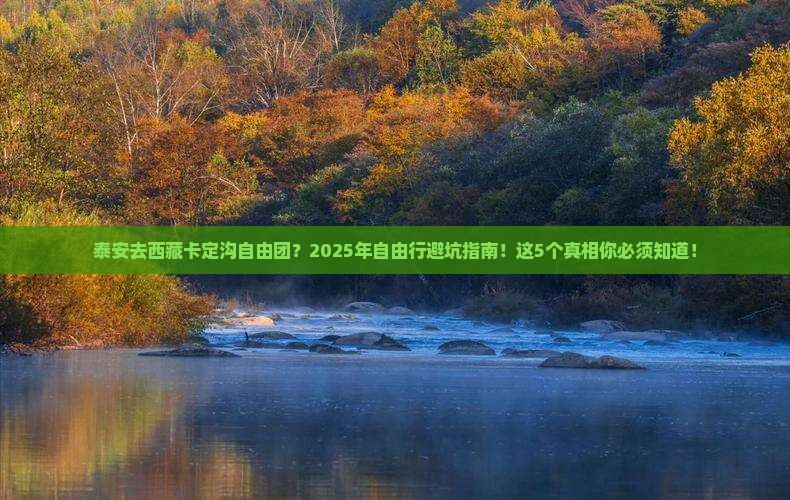 泰安去西藏卡定沟自由团