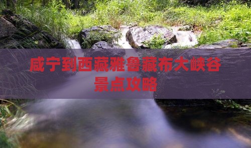 咸宁到西藏雅鲁藏布大峡谷景点