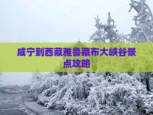 咸宁到西藏雅鲁藏布大峡谷景点