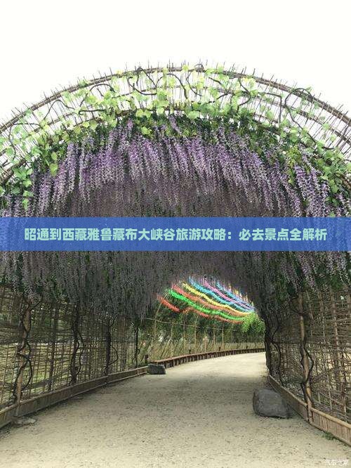 昭通到西藏雅鲁藏布大峡谷必去地