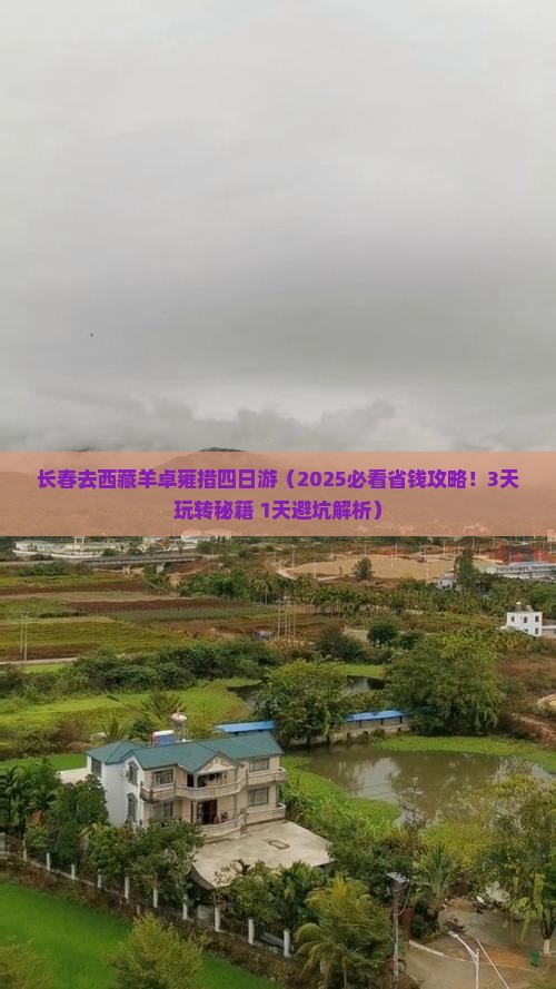 长春去西藏羊卓雍措四日游