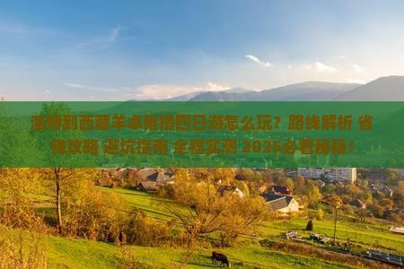 淄博到西藏羊卓雍措四日游