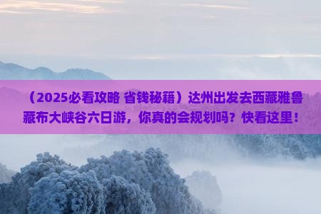 达州去西藏雅鲁藏布大峡谷六日游
