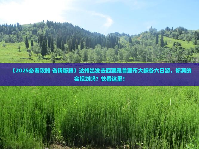 达州去西藏雅鲁藏布大峡谷六日游