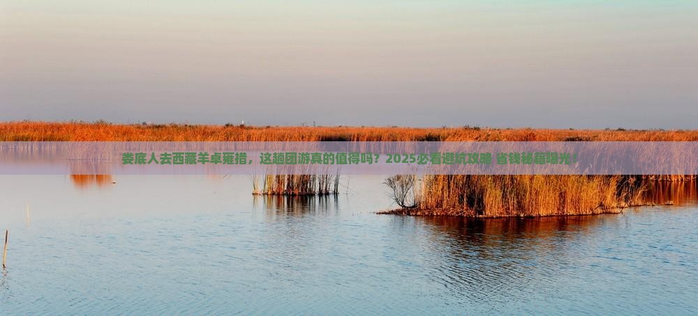 娄底去西藏羊卓雍措团体旅游