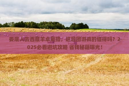 娄底去西藏羊卓雍措团体旅游