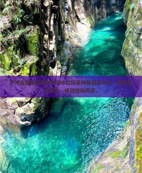 泸州去西藏日喀则旅游小吃