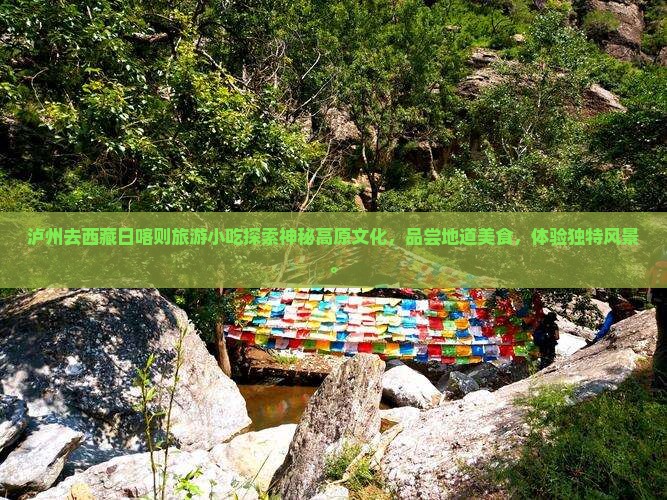 泸州去西藏日喀则旅游小吃