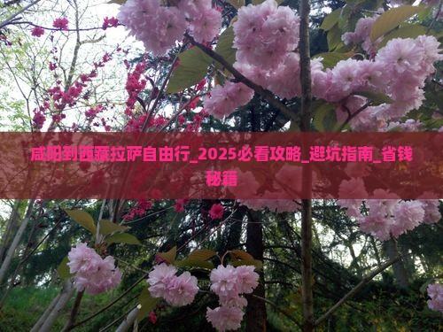 咸阳到西藏拉萨自由行