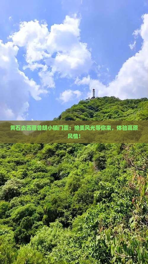 黄石去西藏鲁朗小镇门票