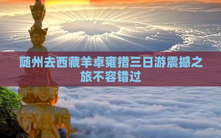 随州去西藏羊卓雍措三日游