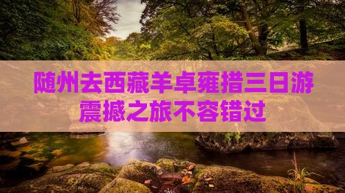 随州去西藏羊卓雍措三日游