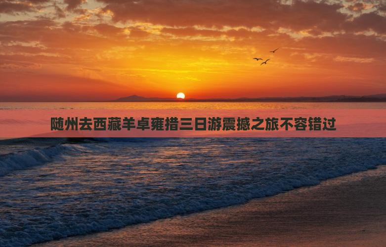 随州去西藏羊卓雍措三日游