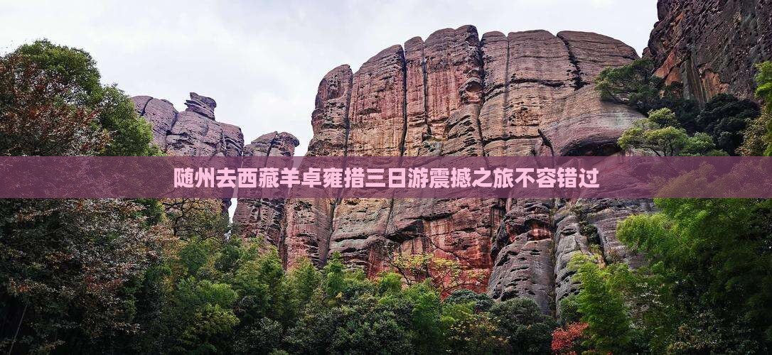 随州去西藏羊卓雍措三日游