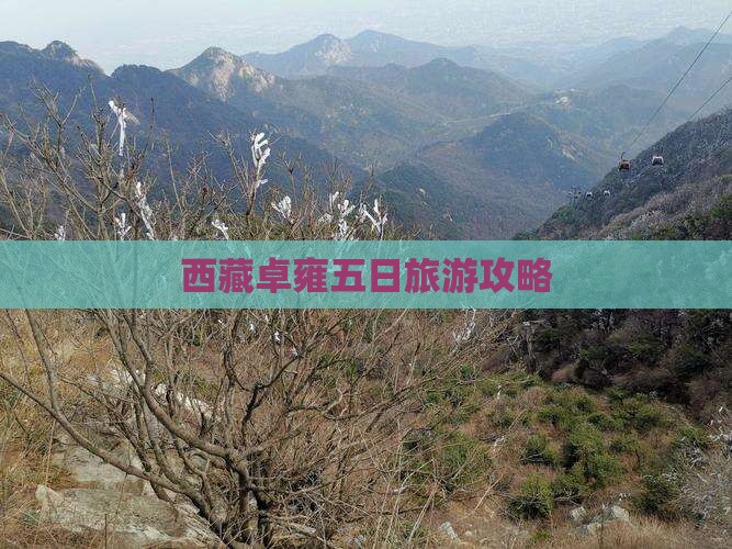 一月去西藏羊卓雍措五日游