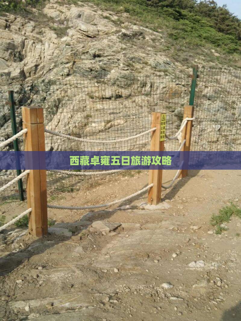 一月去西藏羊卓雍措五日游