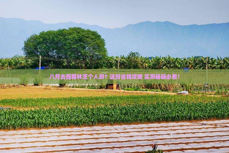 八月到西藏林芝个人游