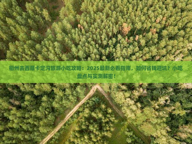 衢州去西藏卡定沟旅游小吃