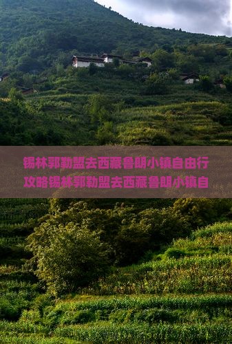 锡林郭勒盟去西藏鲁朗小镇自由行