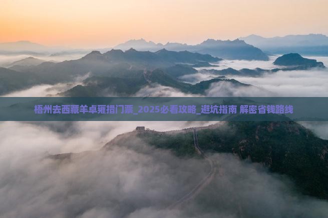 梧州去西藏羊卓雍措门票