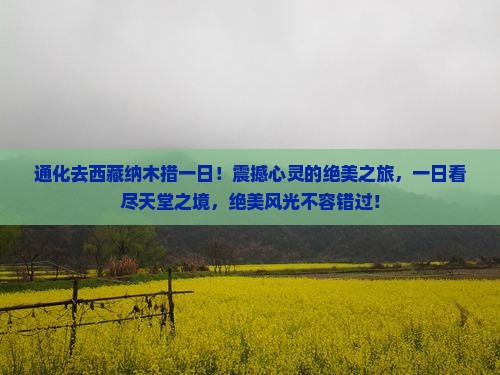通化去西藏纳木措一日