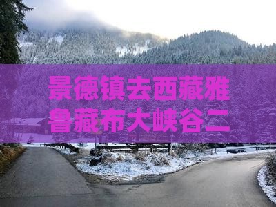 景德镇去西藏雅鲁藏布大峡谷二日游