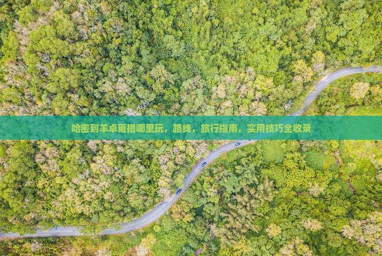 哈密到西藏羊卓雍措哪里玩