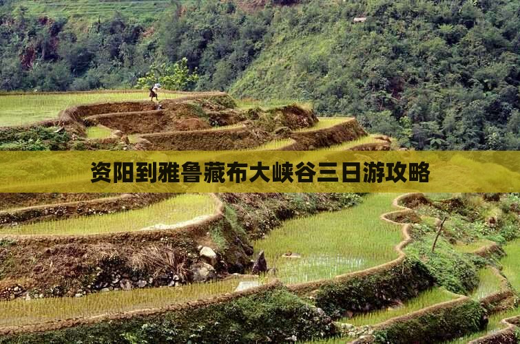 资阳到西藏雅鲁藏布大峡谷三日游
