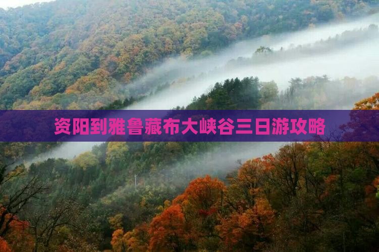 资阳到西藏雅鲁藏布大峡谷三日游