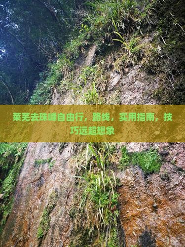 莱芜去西藏珠峰大本营自由行