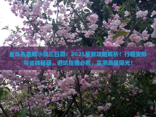 金华去西藏鲁朗小镇三日游