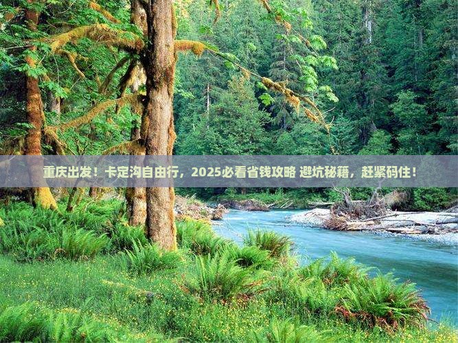 重庆去西藏卡定沟自由团