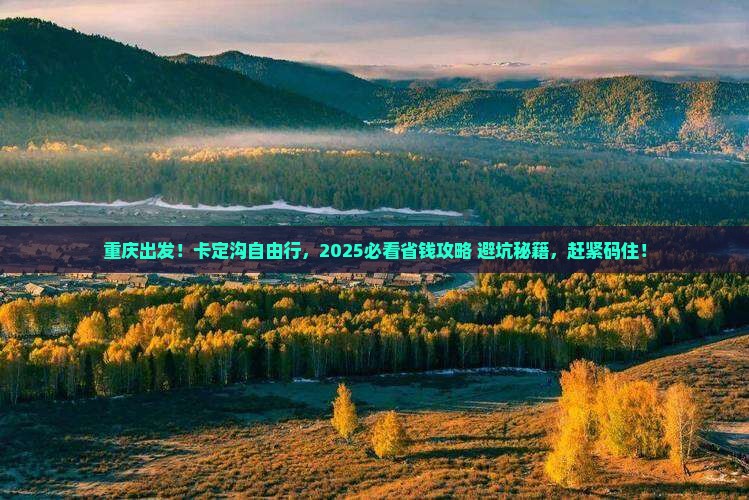 重庆去西藏卡定沟自由团