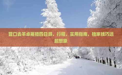 营口去西藏羊卓雍措四日游