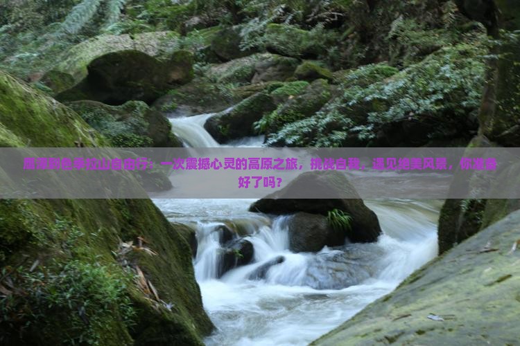 鹰潭到西藏色季拉山自由行